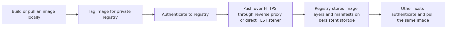 Request flow for pushing and pulling images through a private Docker registry with authentication and TLS